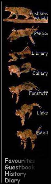 -- PUSHKINS WORLD --